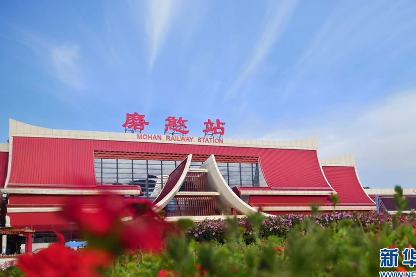聚焦高质量发展｜“圈粉”近200万旅客！这趟跨国列车跑出“加速度”