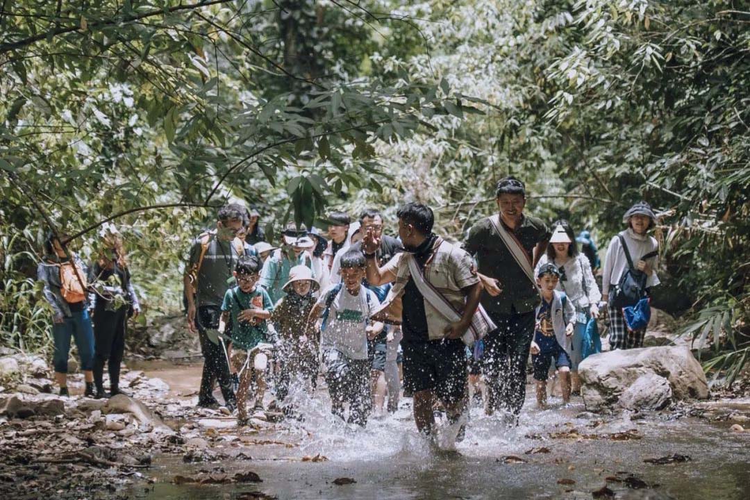 云南西双版纳景洪：一条雨林徒步线路，走出“绿水青山”和“金山银山”的生动实践之路